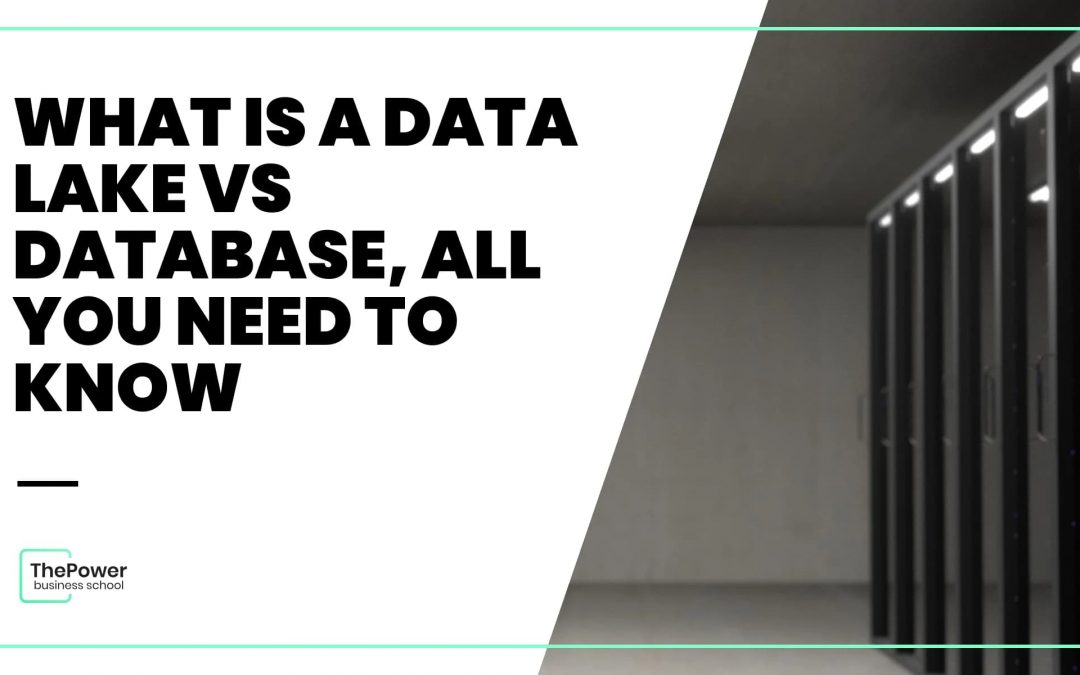Data lake vs database: everything you need to know