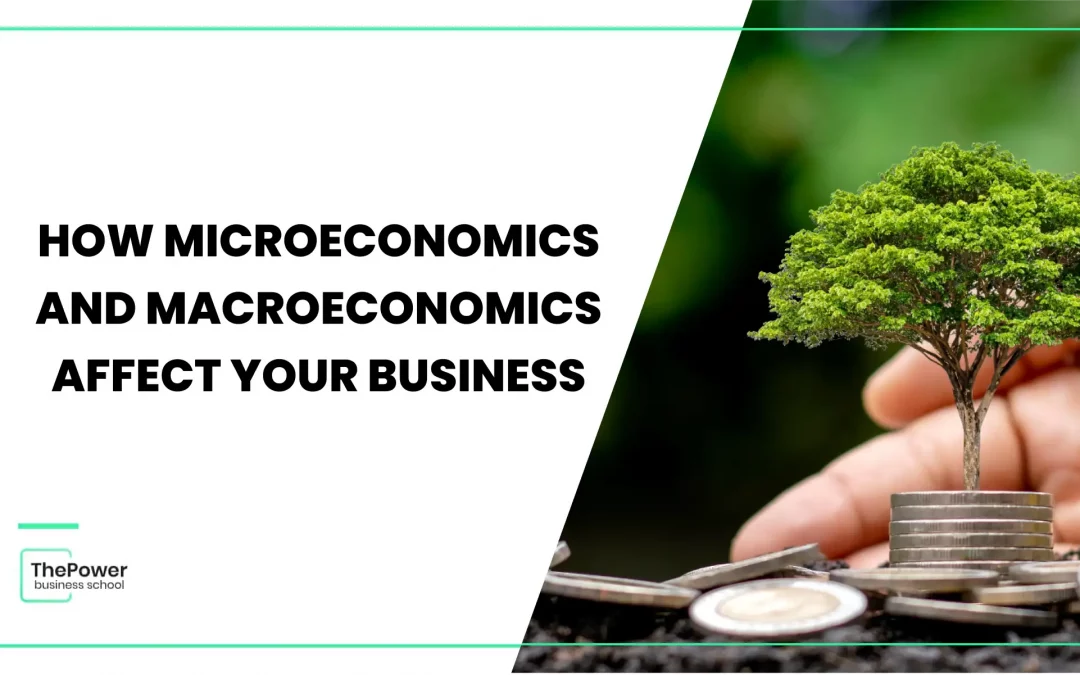 How microeconomics and macroeconomics affect your business